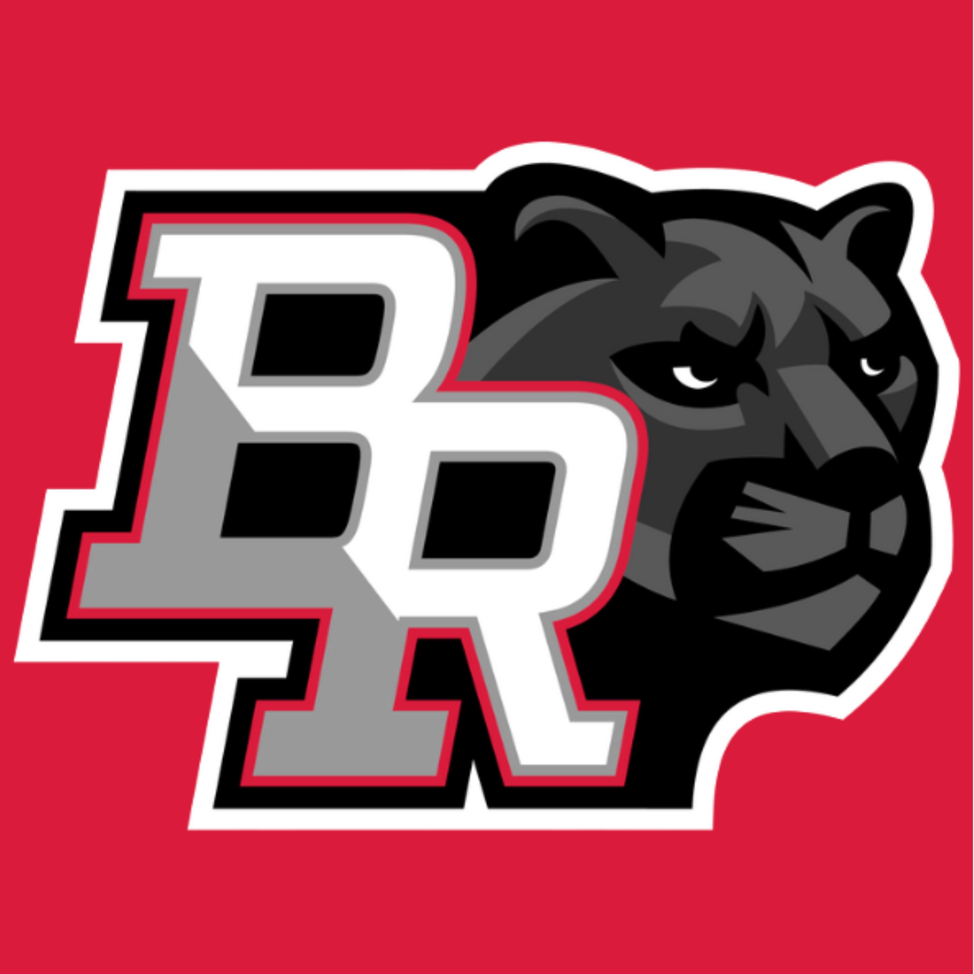 www.panthervenue.tech favicon